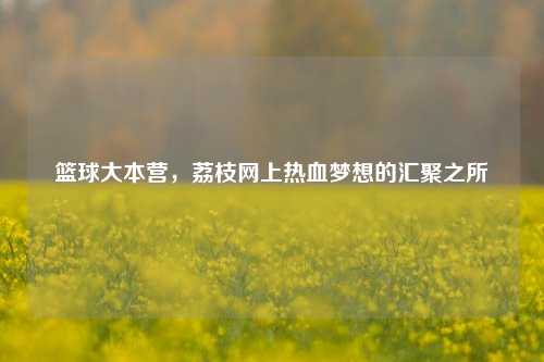 篮球大本营,荔枝网上热血梦想的汇聚之所