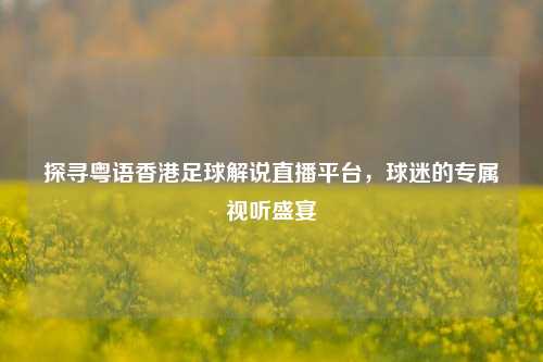 探寻粤语香港足球解说直播平台,球迷的专属视听盛宴