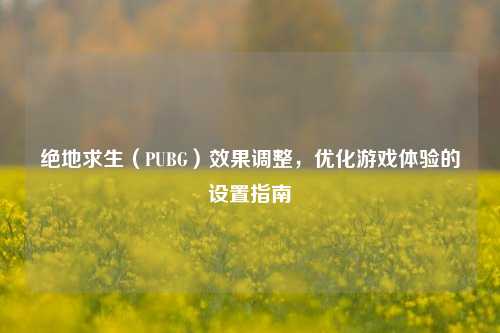 绝地求生（PUBG）效果调整，优化游戏体验的设置指南