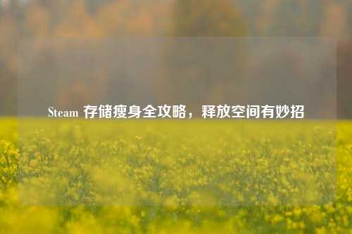 Steam 存储瘦身全攻略,释放空间有妙招