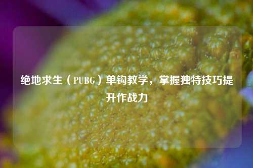 绝地求生(PUBG)单钩教学,掌握独特技巧提升作战力
