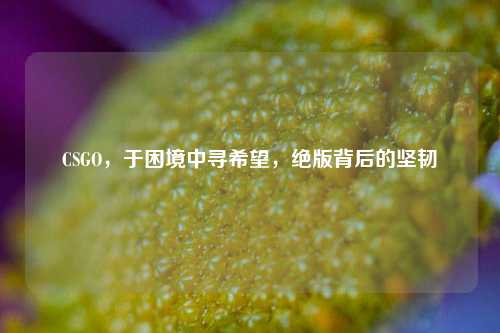 CSGO,于困境中寻希望,绝版背后的坚韧