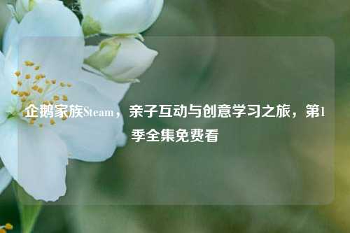 企鹅家族Steam,亲子互动与创意学习之旅,第1季全集免费看