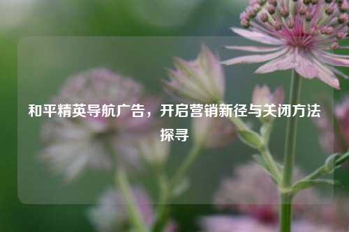 和平精英导航广告,开启营销新径与关闭方法探寻