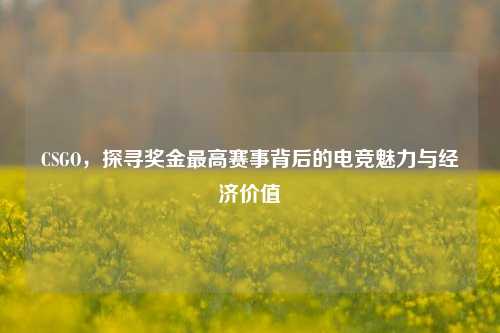 CSGO,探寻奖金最高赛事背后的电竞魅力与经济价值