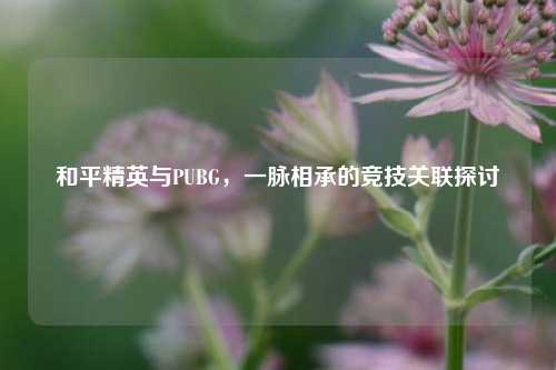 和平精英与PUBG,一脉相承的竞技关联探讨
