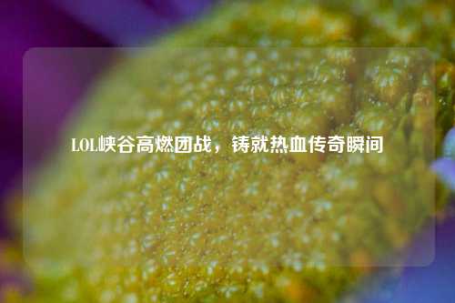 LOL峡谷高燃团战,铸就热血传奇瞬间