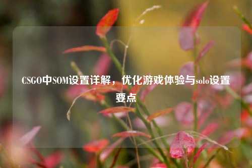 CSGO中SOM设置详解,优化游戏体验与solo设置要点