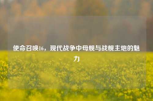 使命召唤16,现代战争中母舰与战舰主炮的魅力