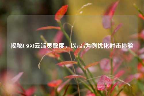 揭秘CSGO云端灵敏度,以rain为例优化射击体验