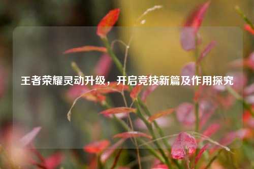 王者荣耀灵动升级,开启竞技新篇及作用探究