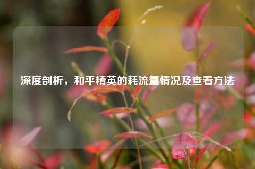 深度剖析,和平精英的耗流量情况及查看方法