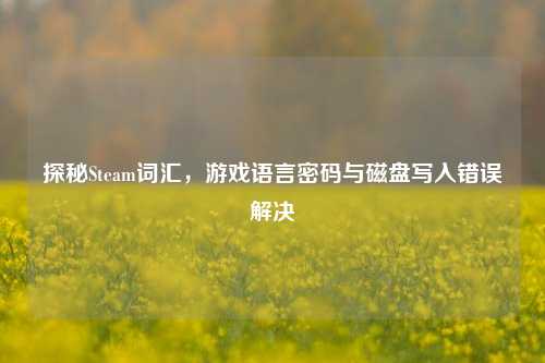 探秘Steam词汇,游戏语言密码与磁盘写入错误解决