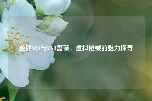 逆战SRA与MSR蔷薇,虚拟枪械的魅力探寻