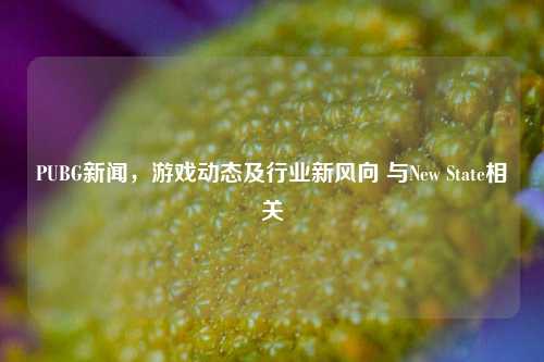 PUBG新闻,游戏动态及行业新风向 与New State相关