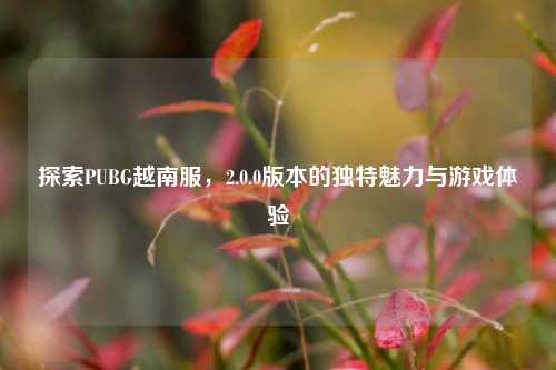 探索PUBG越南服,2.0.0版本的独特魅力与游戏体验