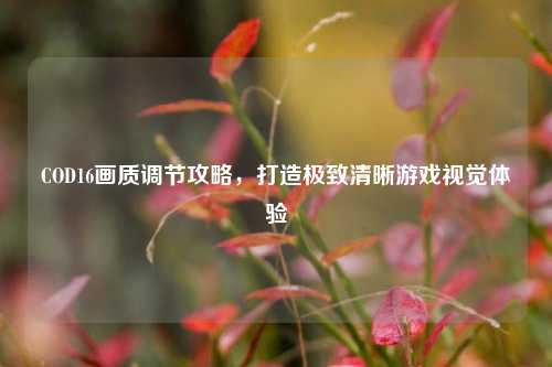 COD16画质调节攻略,打造极致清晰游戏视觉体验