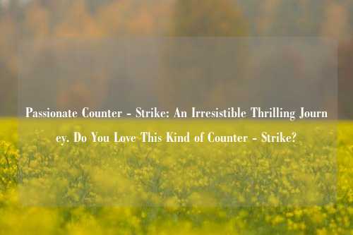 Passionate Counter - Strike: An Irresistible Thrilling Journey. Do You Love This Kind of Counter - Strike?