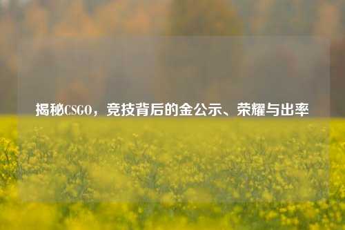 揭秘CSGO,竞技背后的金公示、荣耀与出率