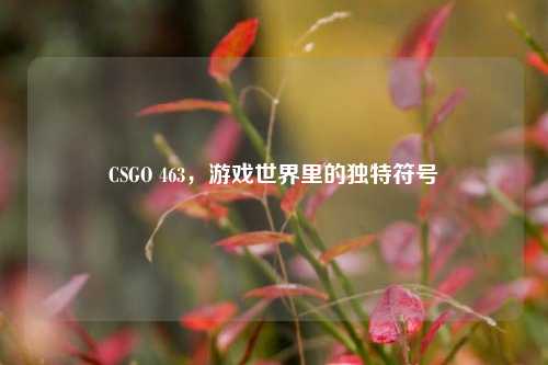CSGO 463，游戏世界里的独特符号