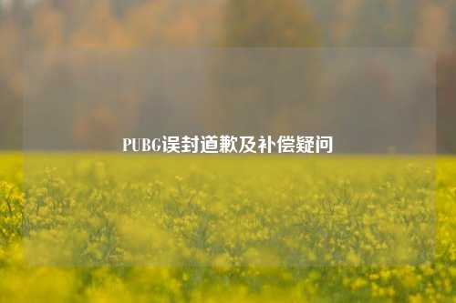 PUBG误封道歉及补偿疑问