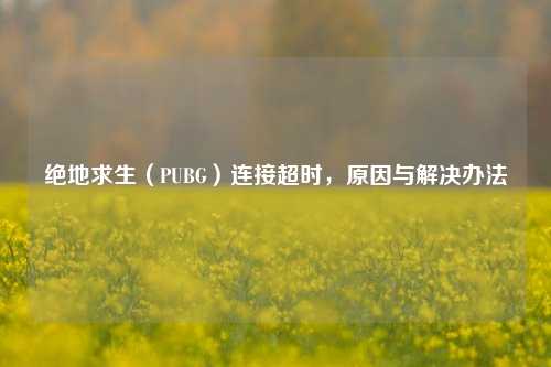 绝地求生(PUBG)连接超时,原因与解决办法