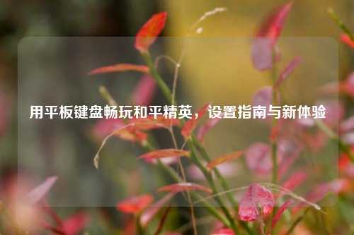 用平板键盘畅玩和平精英,设置指南与新体验