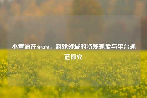 小黄油在Steam,游戏领域的特殊现象与平台规范探究