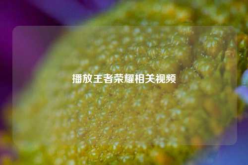 播放王者荣耀相关视频