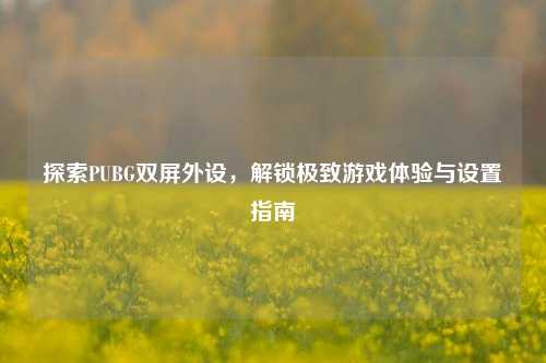探索PUBG双屏外设,解锁极致游戏体验与设置指南