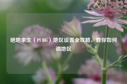 绝地求生(PUBG)地区设置全攻略,教你如何调地区