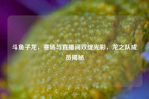斗鱼子龙,赛场与直播间双绽光彩,龙之队成员揭秘
