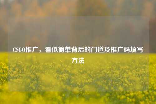 CSGO推广,看似简单背后的门道及推广码填写方法