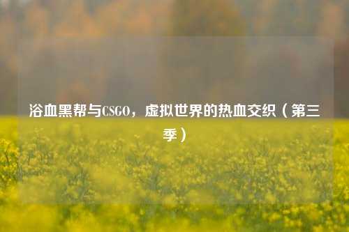 浴血黑帮与CSGO，虚拟世界的热血交织（第三季）