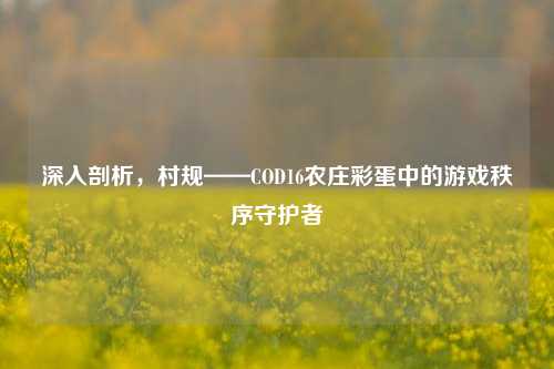 深入剖析,村规——COD16农庄彩蛋中的游戏秩序守护者