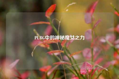 PUBG中的神秘魔女之力