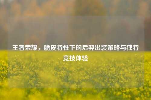王者荣耀,脆皮特性下的后羿出装策略与独特竞技体验