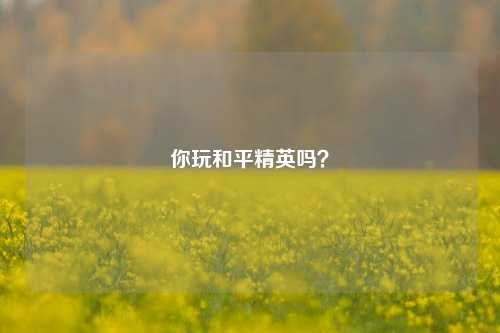 你玩和平精英吗？