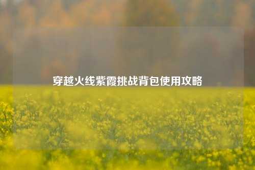 穿越火线紫霞挑战背包使用攻略