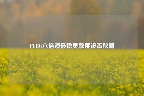 PUBG六倍镜最稳灵敏度设置秘籍