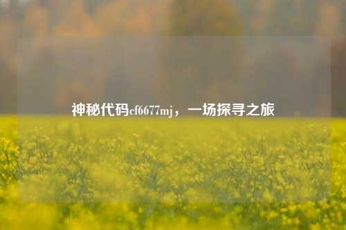 神秘代码cf6677mj,一场探寻之旅