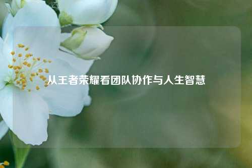 从王者荣耀看团队协作与人生智慧
