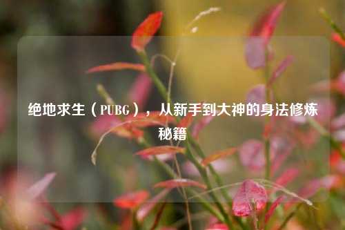 绝地求生(PUBG),从新手到大神的身法修炼秘籍