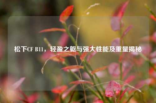 松下CF B11,轻盈之躯与强大性能及重量揭秘