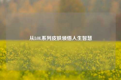 从LOL系列皮肤领悟人生智慧