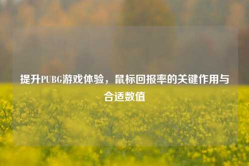提升PUBG游戏体验,鼠标回报率的关键作用与合适数值