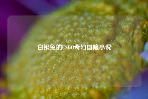 白银兔的CSGO奇幻冒险小说