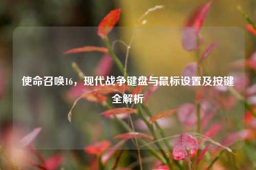 使命召唤16,现代战争键盘与鼠标设置及按键全解析