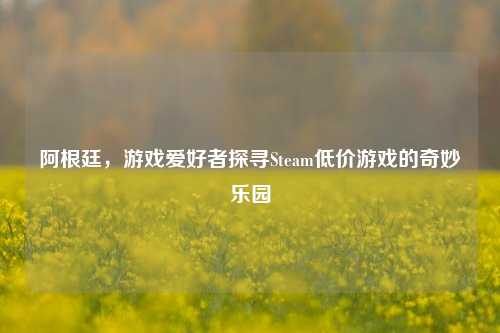 阿根廷,游戏爱好者探寻Steam低价游戏的奇妙乐园