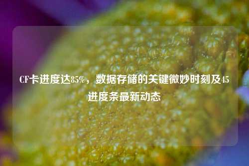 CF卡进度达85%,数据存储的关键微妙时刻及45进度条最新动态